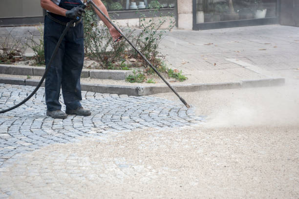 Best Concrete Sealing  in Lewiston, MN